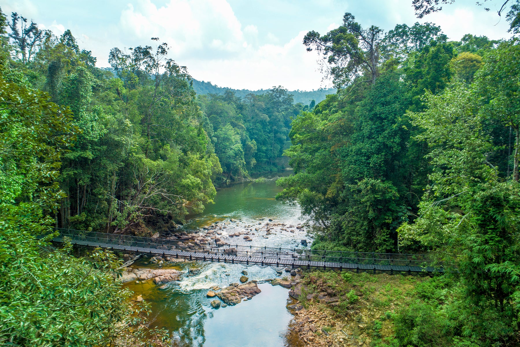 Bridge over a river in a lush green forest on the Taman Negeri Tompin Trek